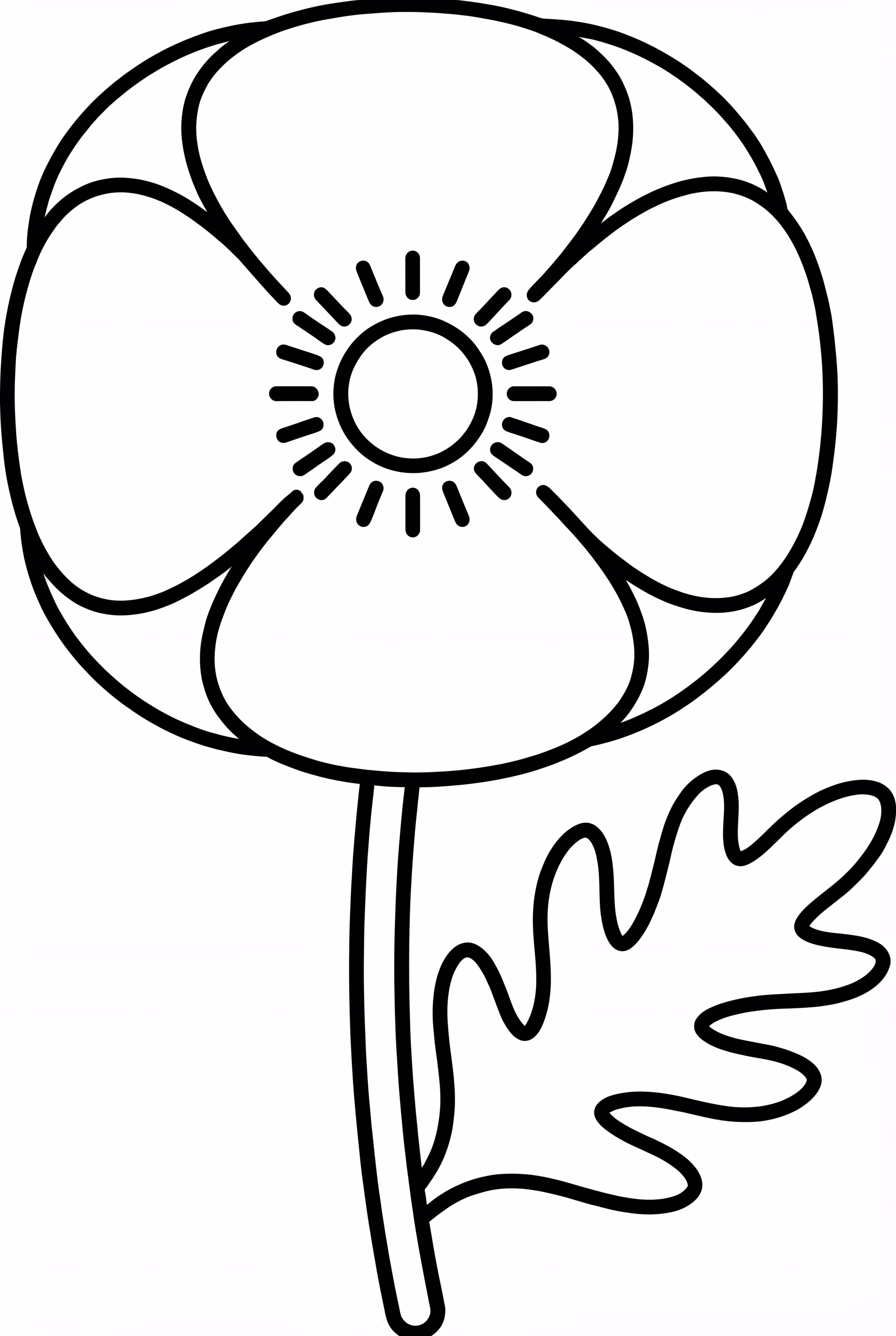 A Single Large Poppy Flower