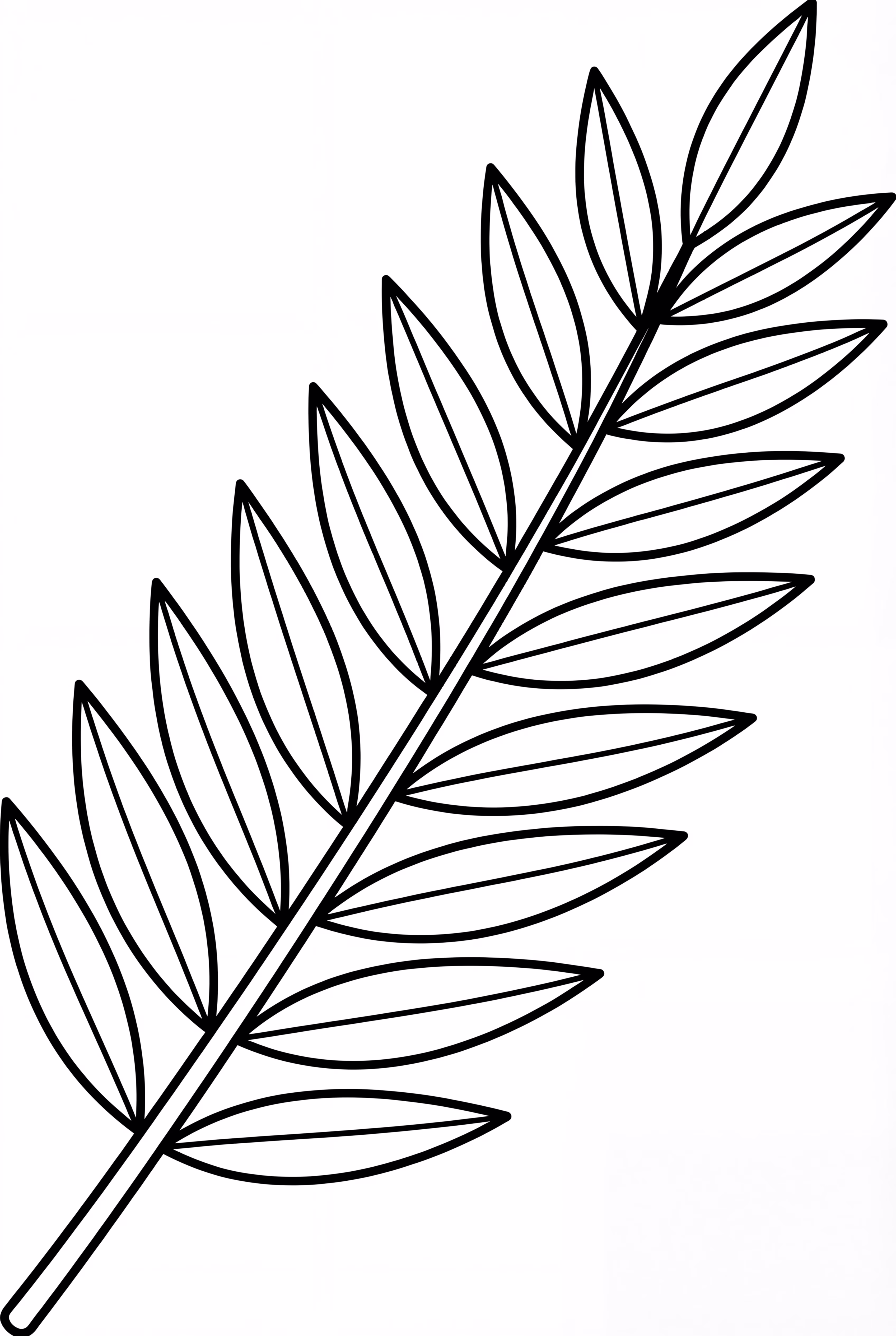 A Single Sukkot Palm Branch