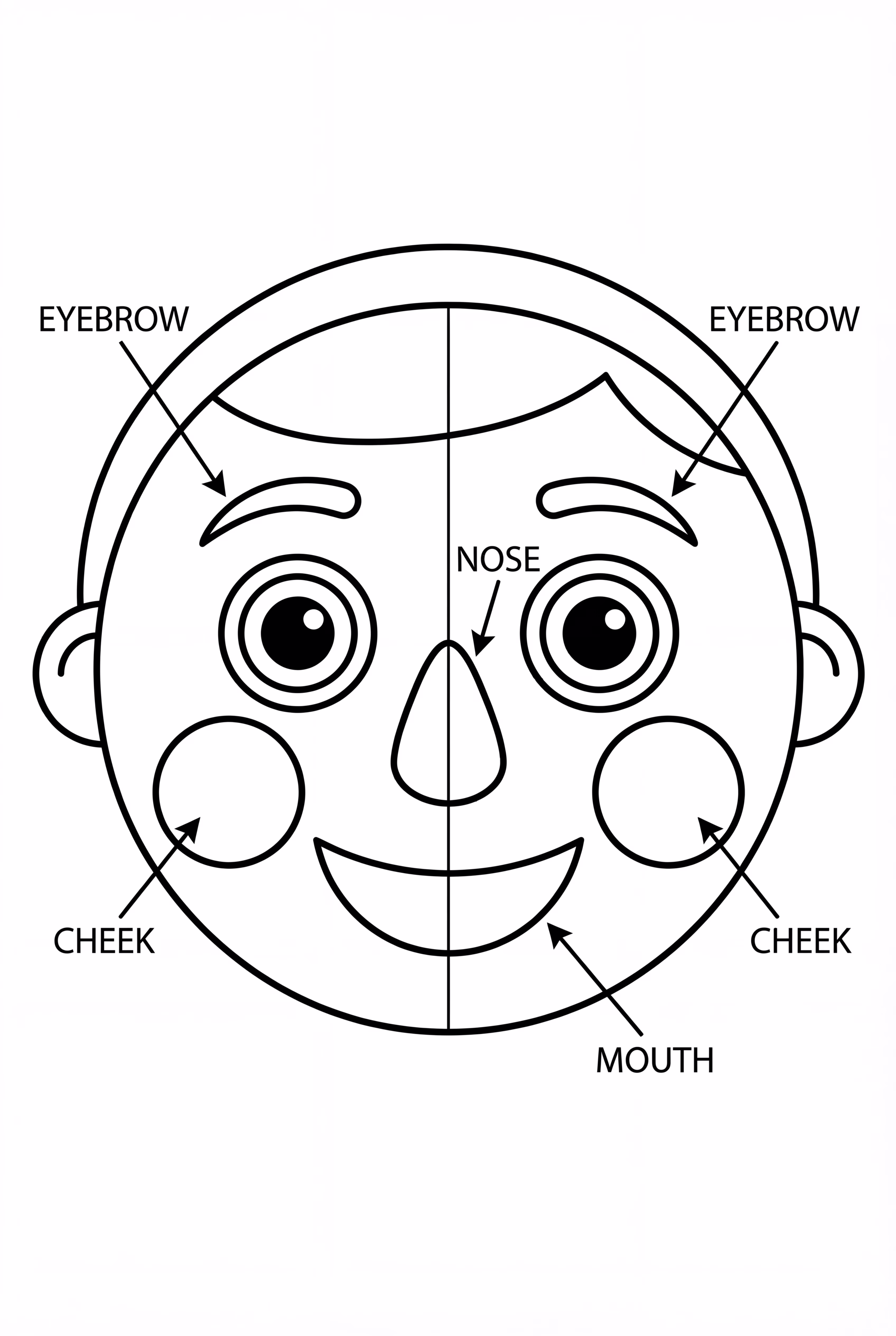 微笑脸部结构图