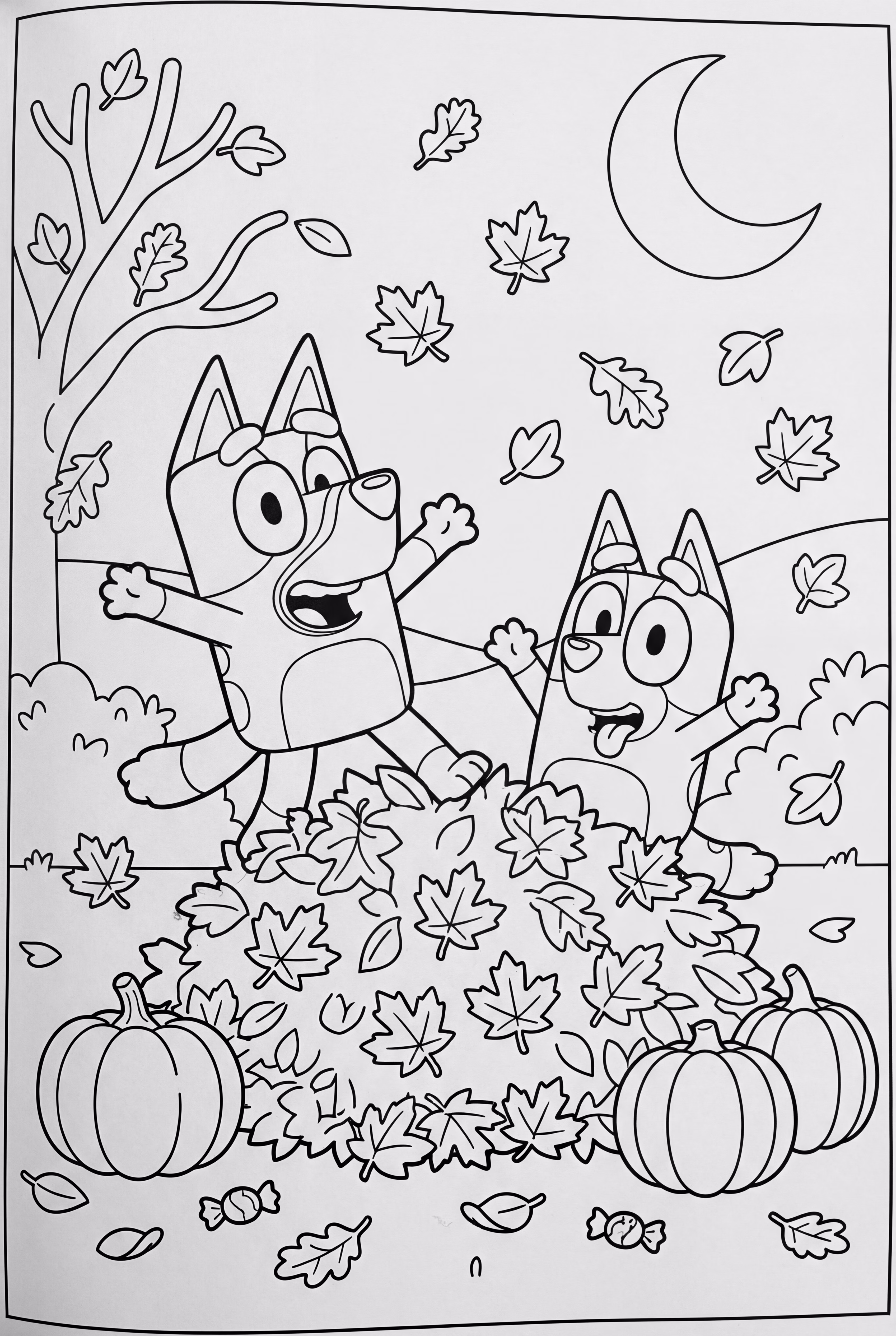 Bluey And Bingo Playing In Bluey Halloween Leaves
