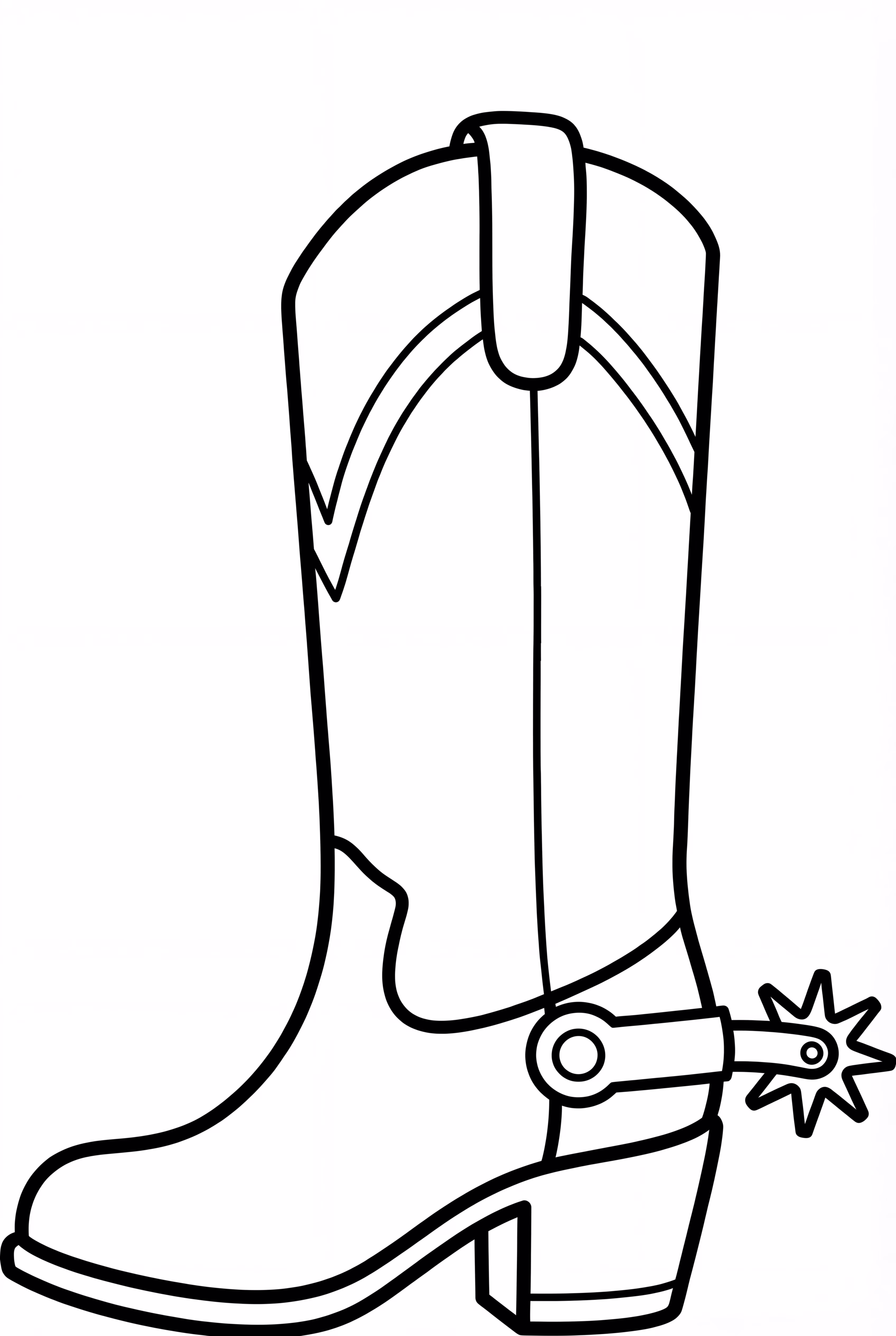 スパーと革の詳細が付いたカウボーイブーツ