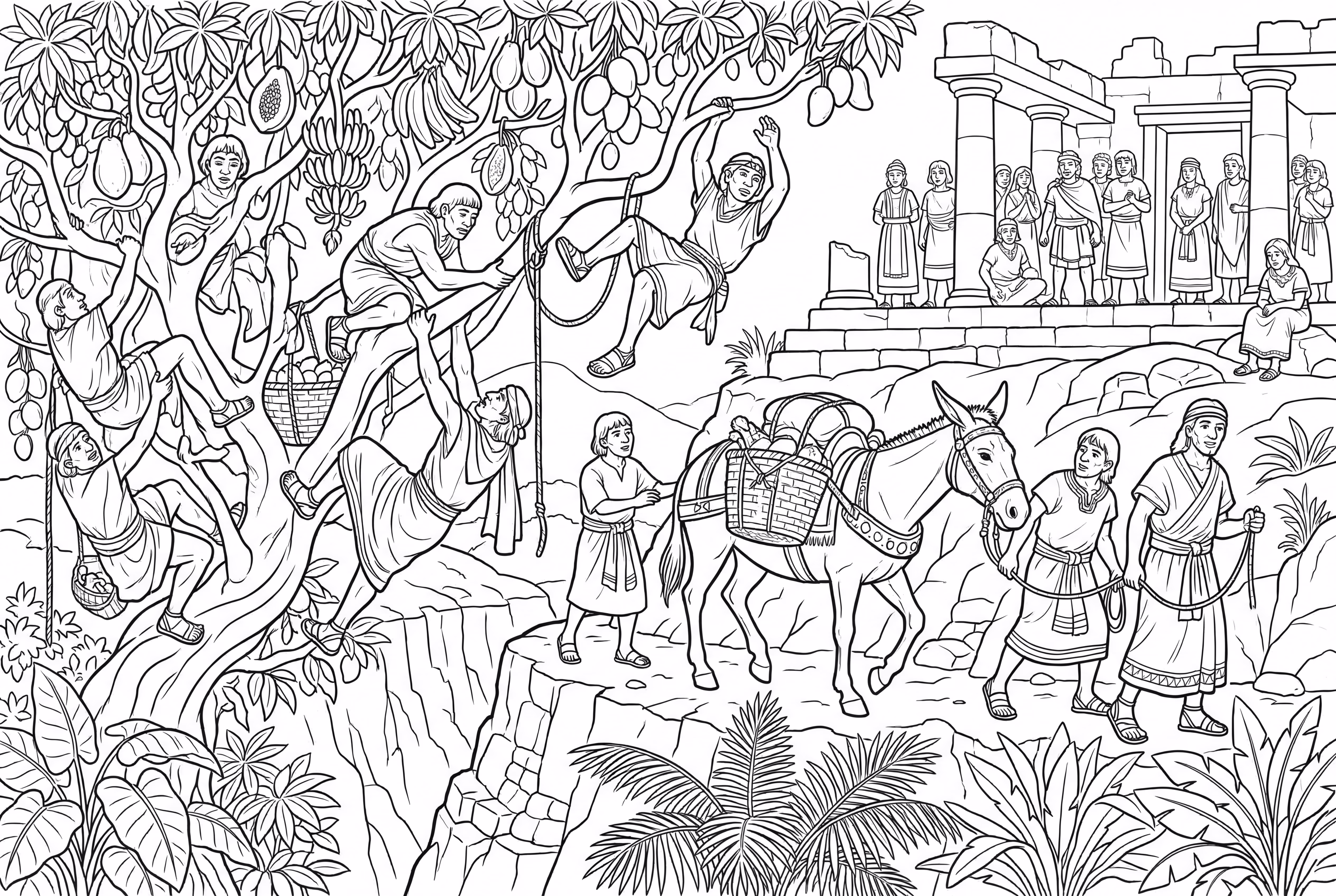 Traversée de la Barranca