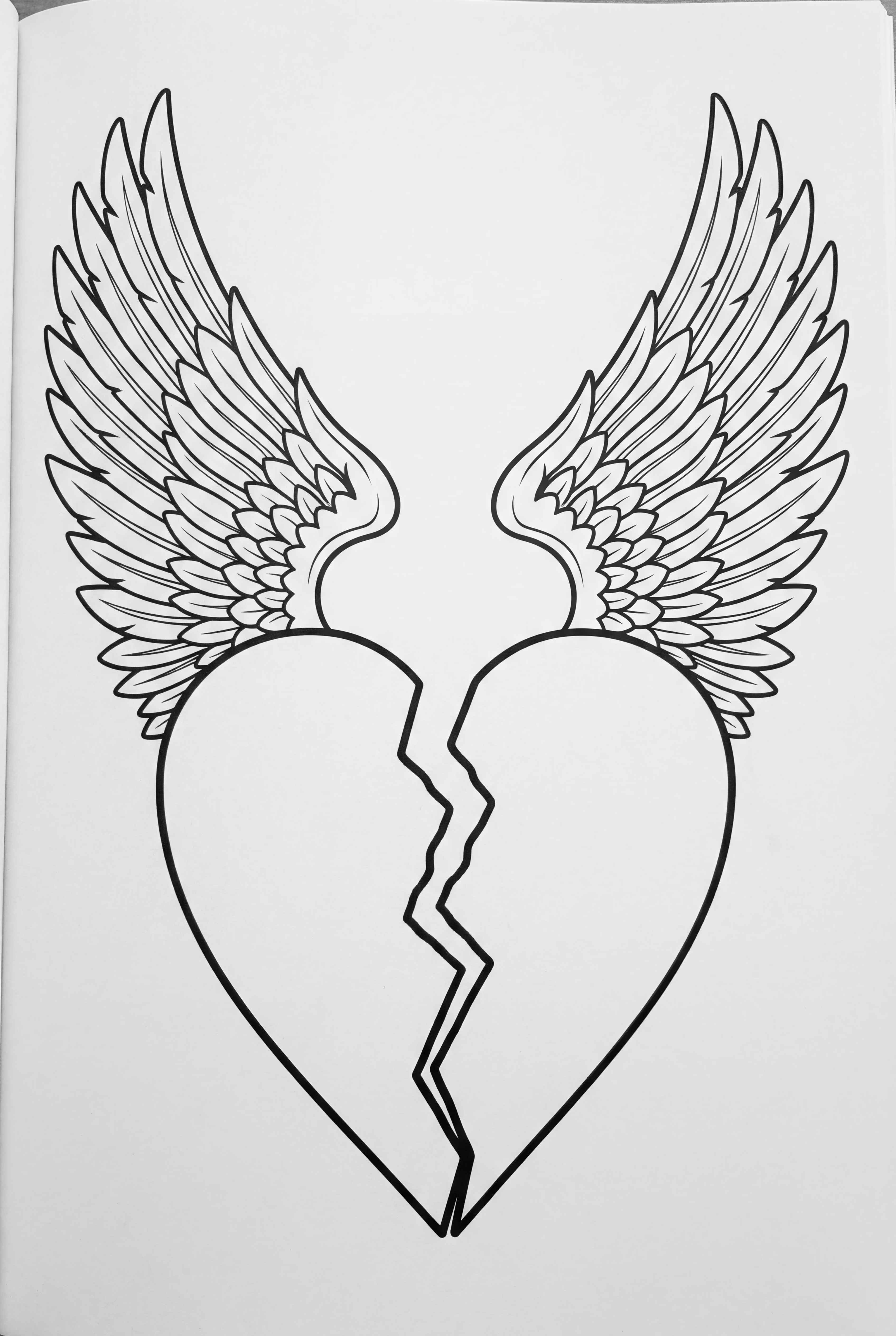 Cœur Brisé Détailé Avec Ailes