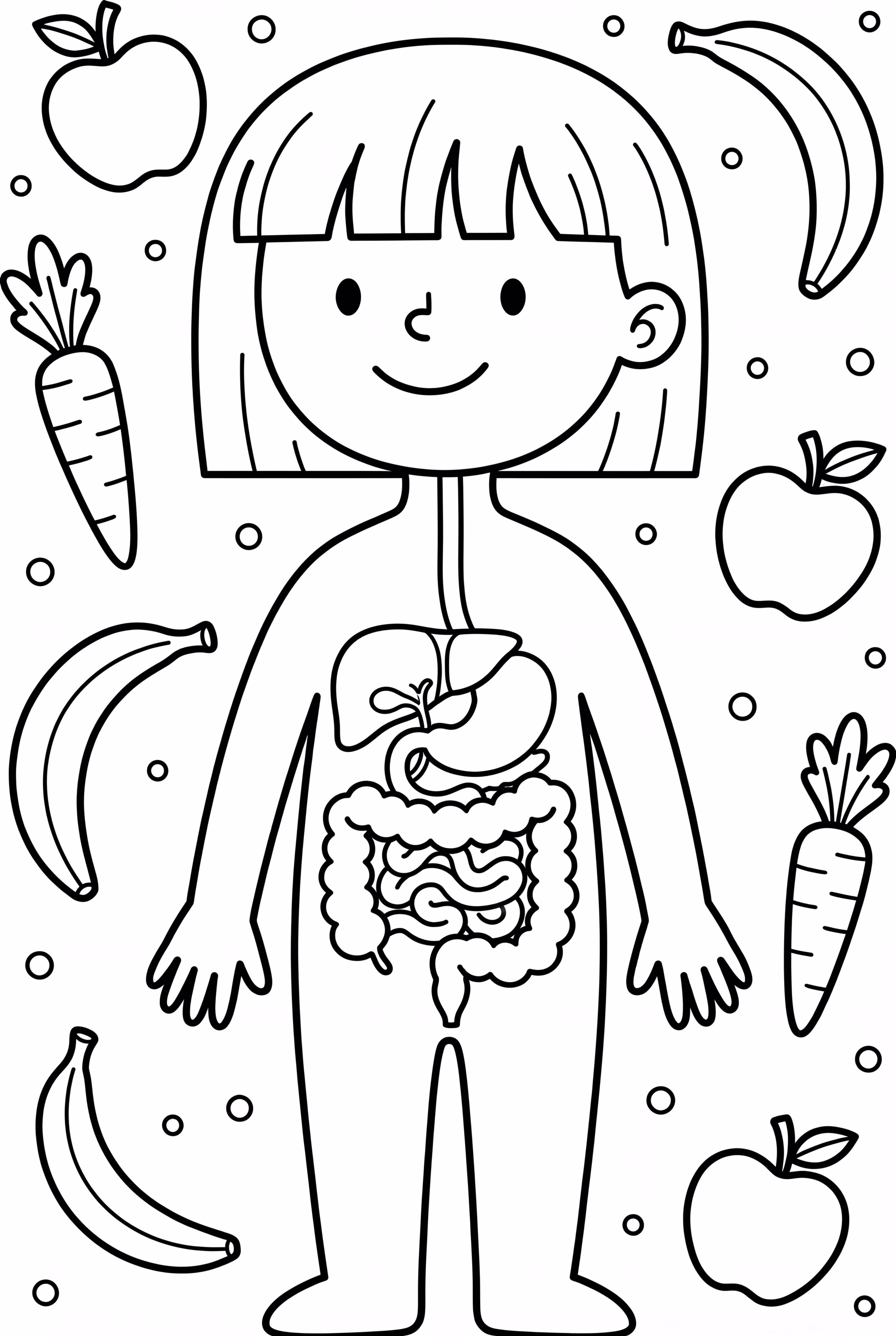 Human Digestive System Anatomy
