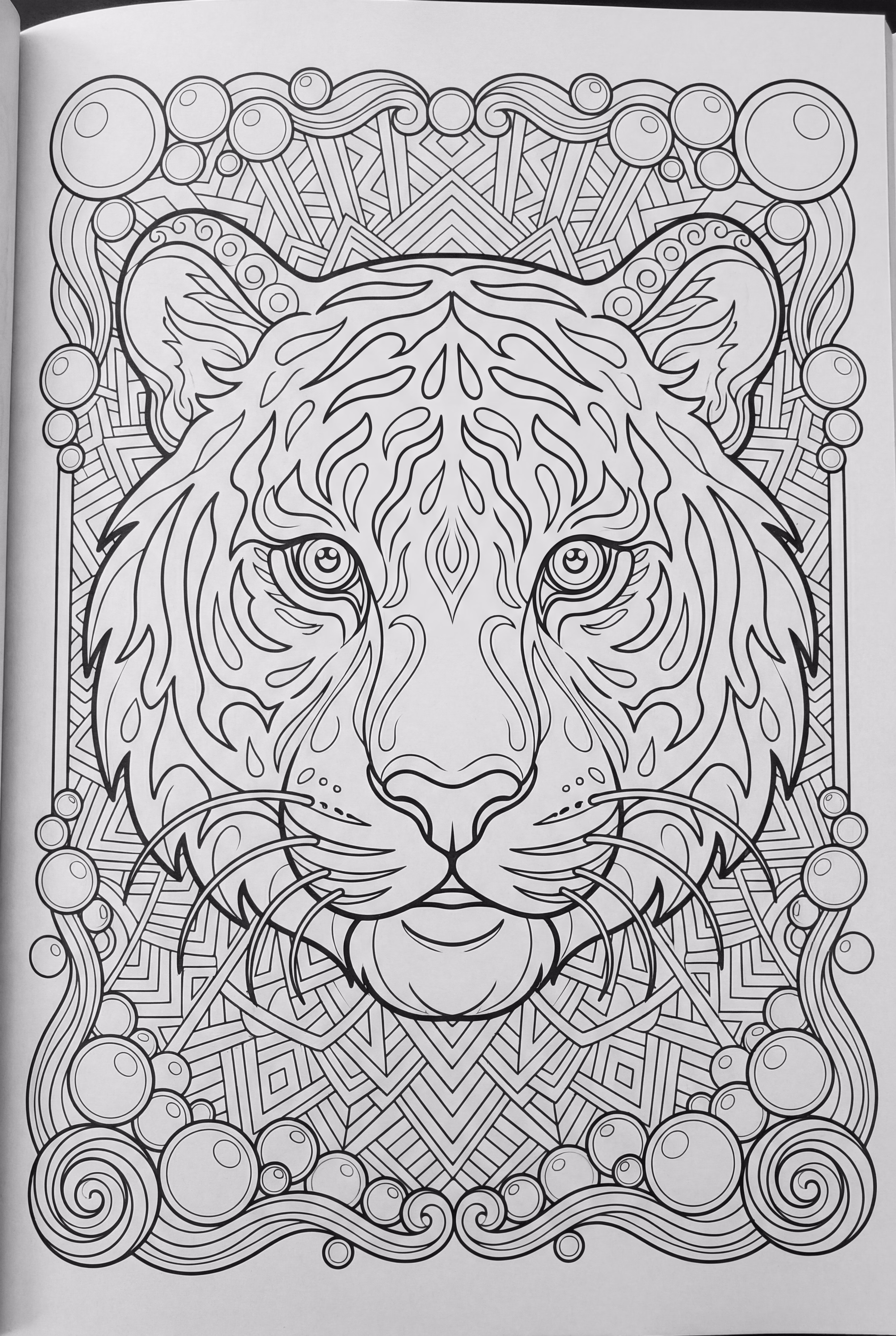 Intricate Tiger Design