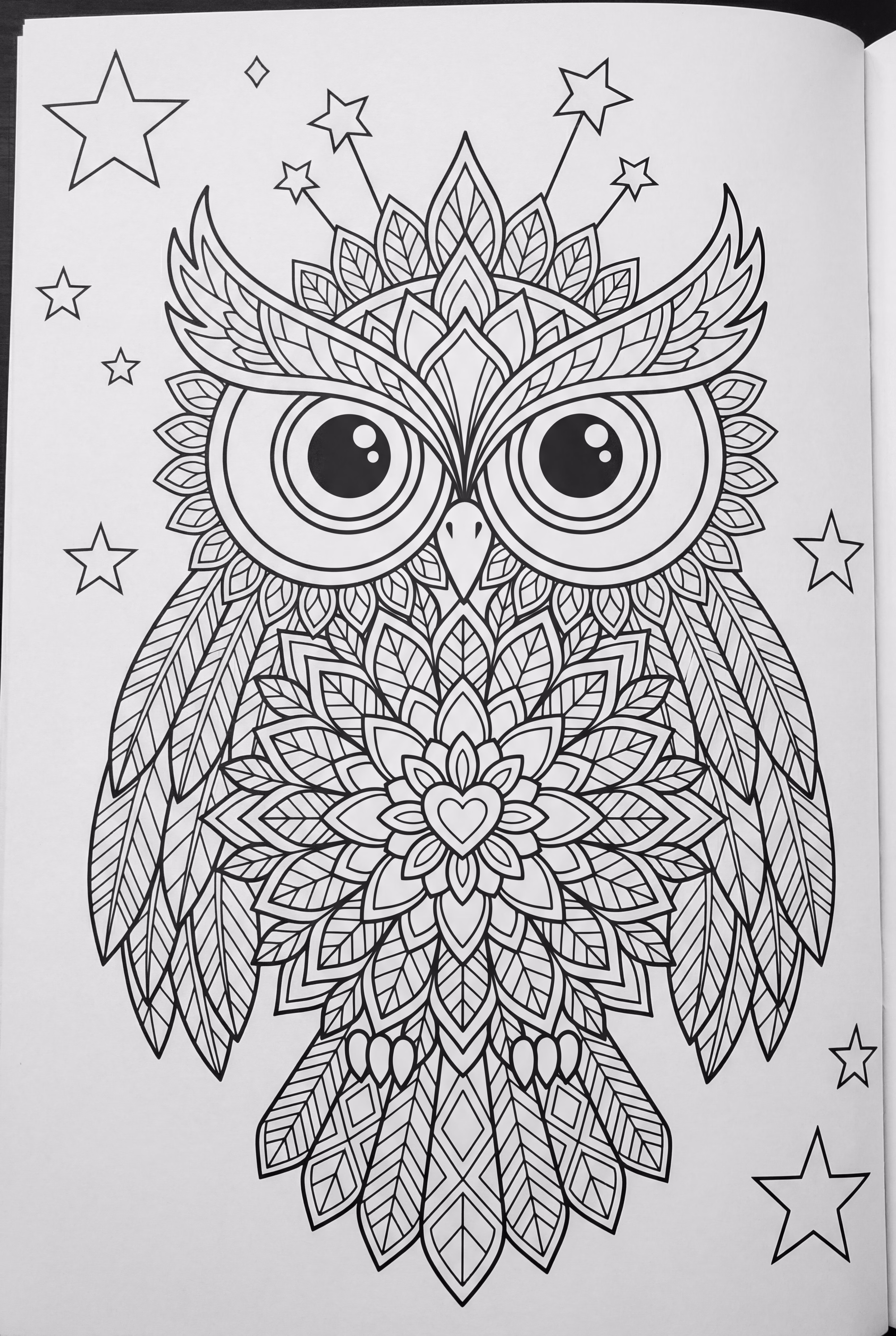 Mandala Owl with Stars