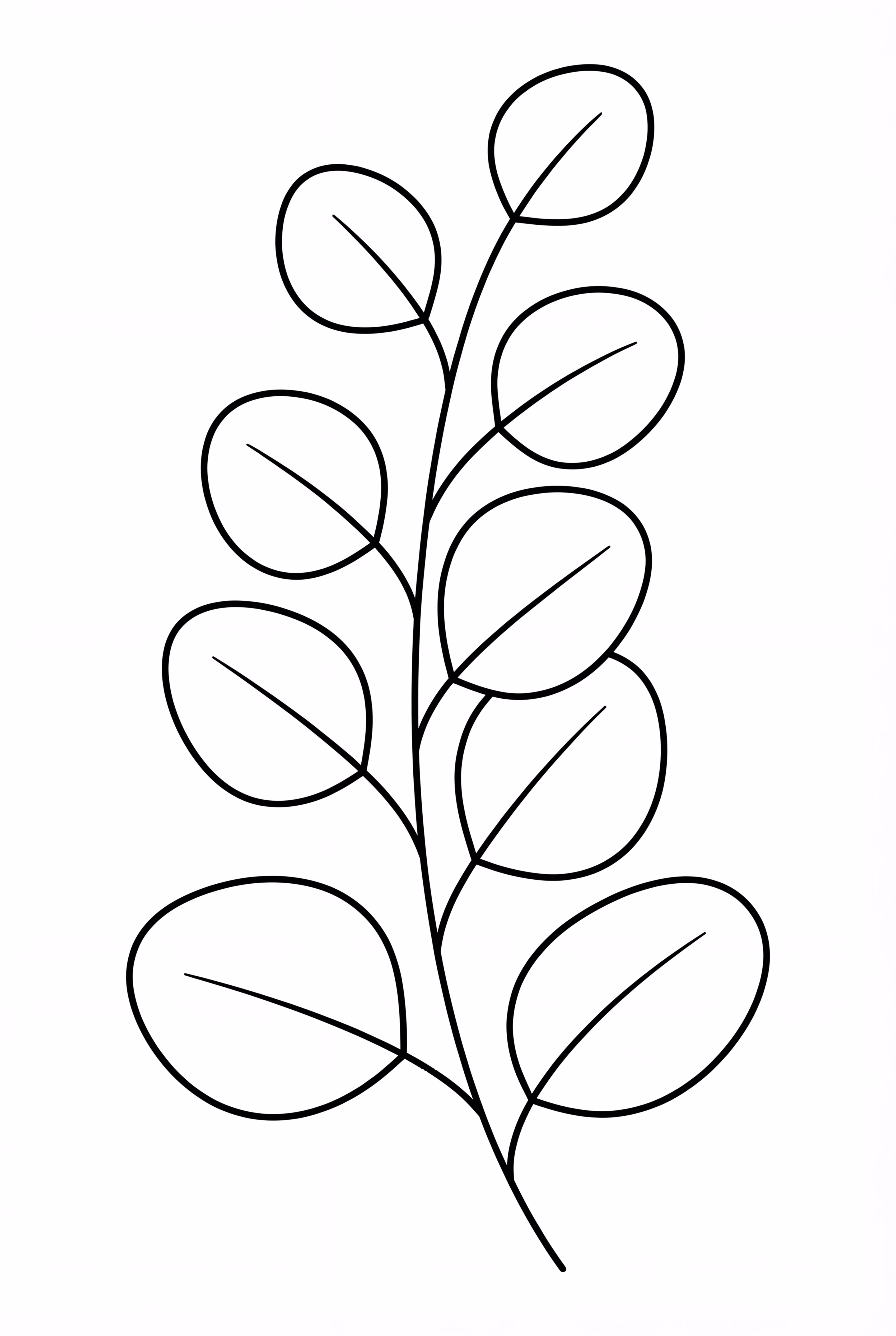 Minimalist Aesthetic Eucalyptus Branch