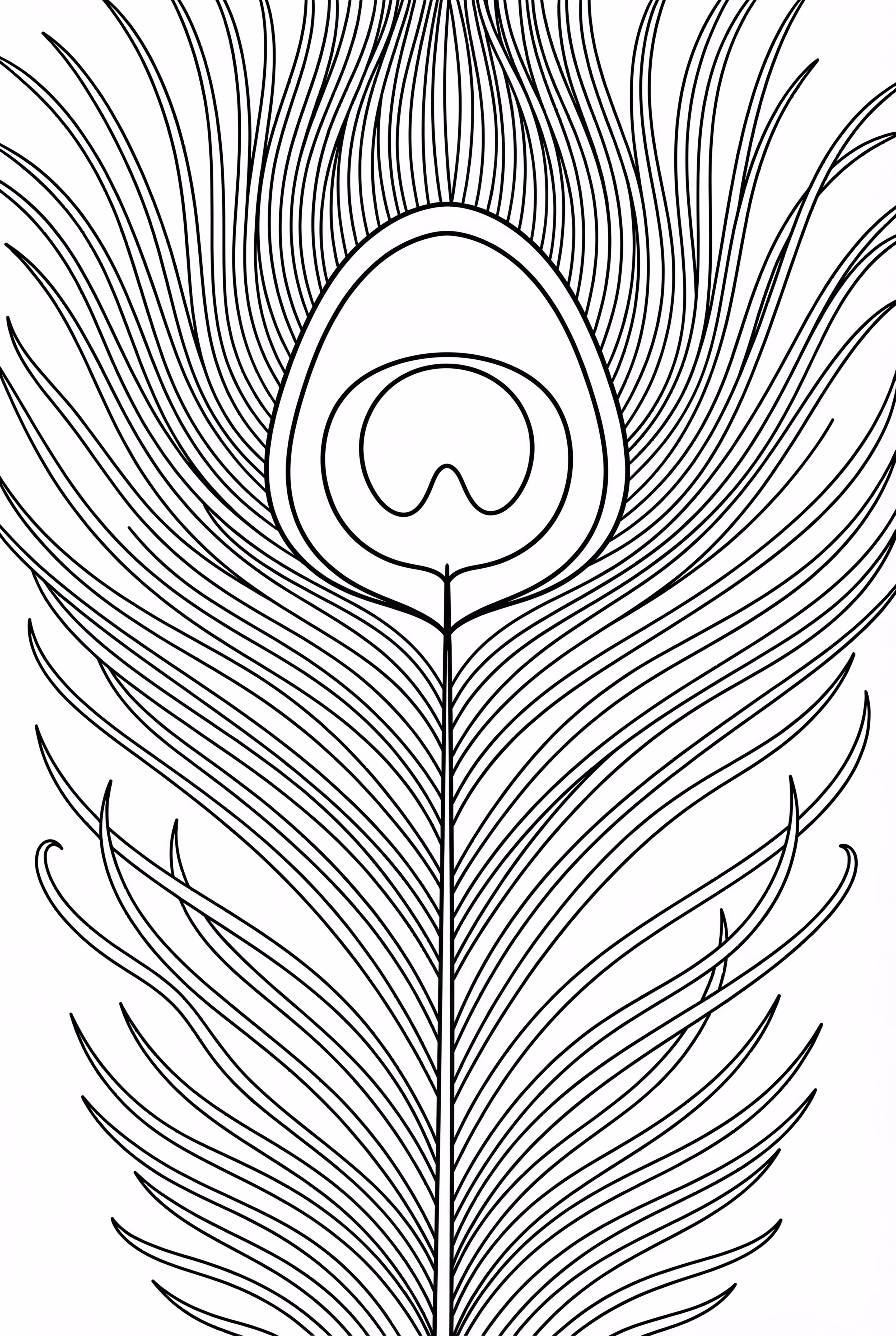 peacock feather closeup-2