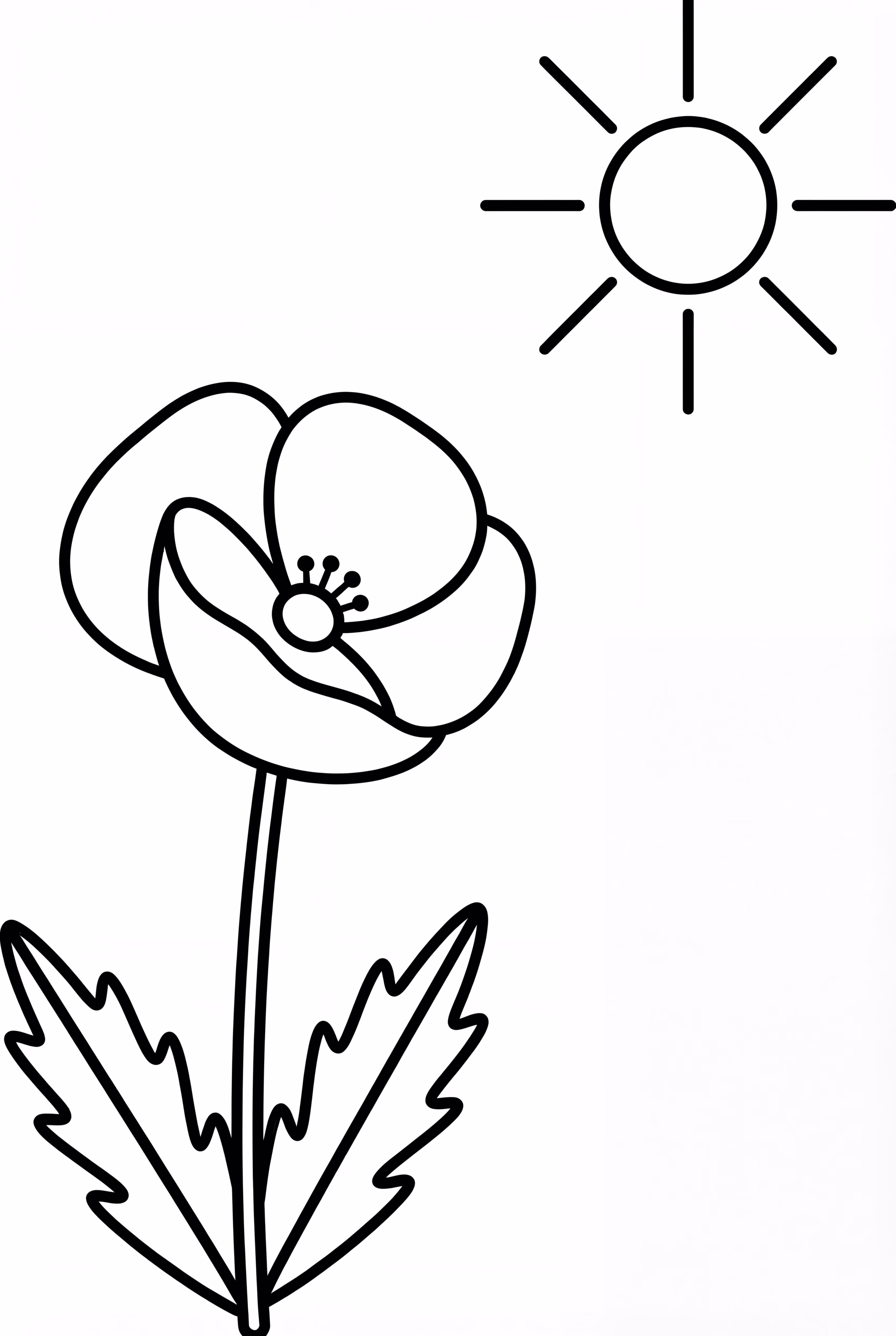 Poppy Flower And A Simple Sun