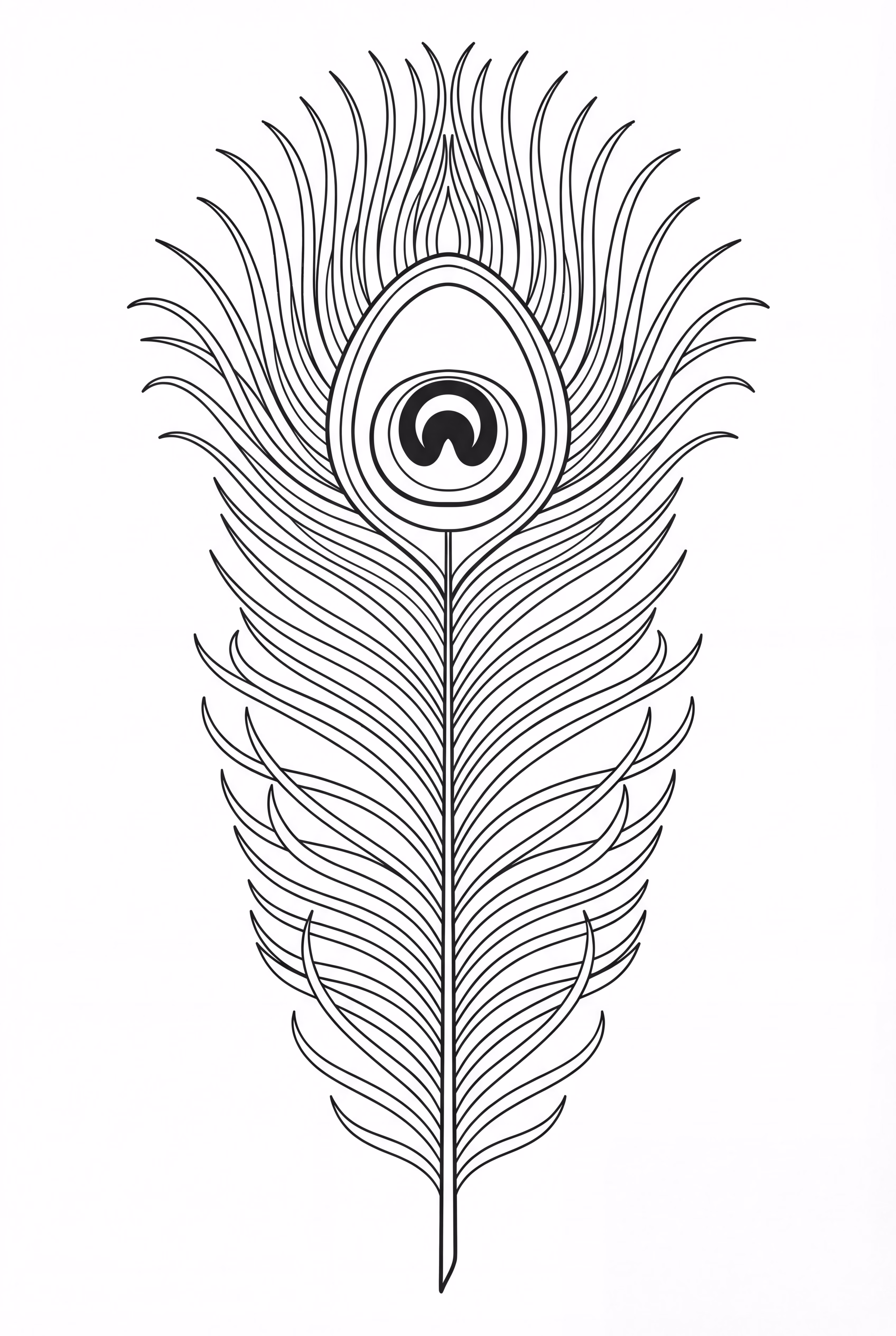 single peacock feather